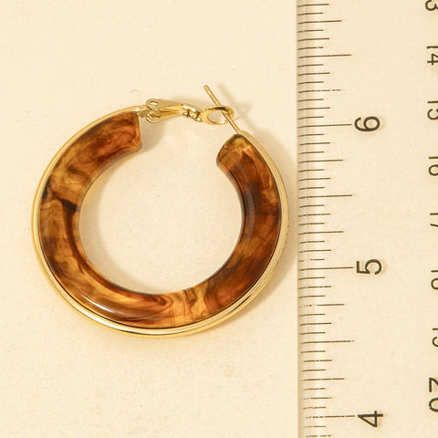 Stainless Steel Edge Acrylic Latch Hoop Earrings: SGCM